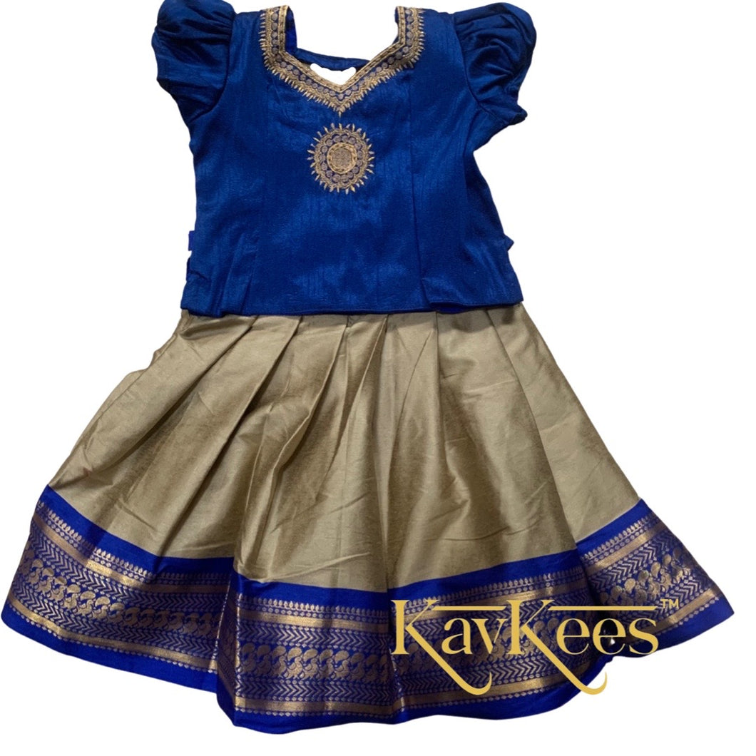 Collection Mahathi - Steel Grey with Navy Blue Border Silk Cotton Skirt with Navy Blue Dupion Silk embroidered Blouse